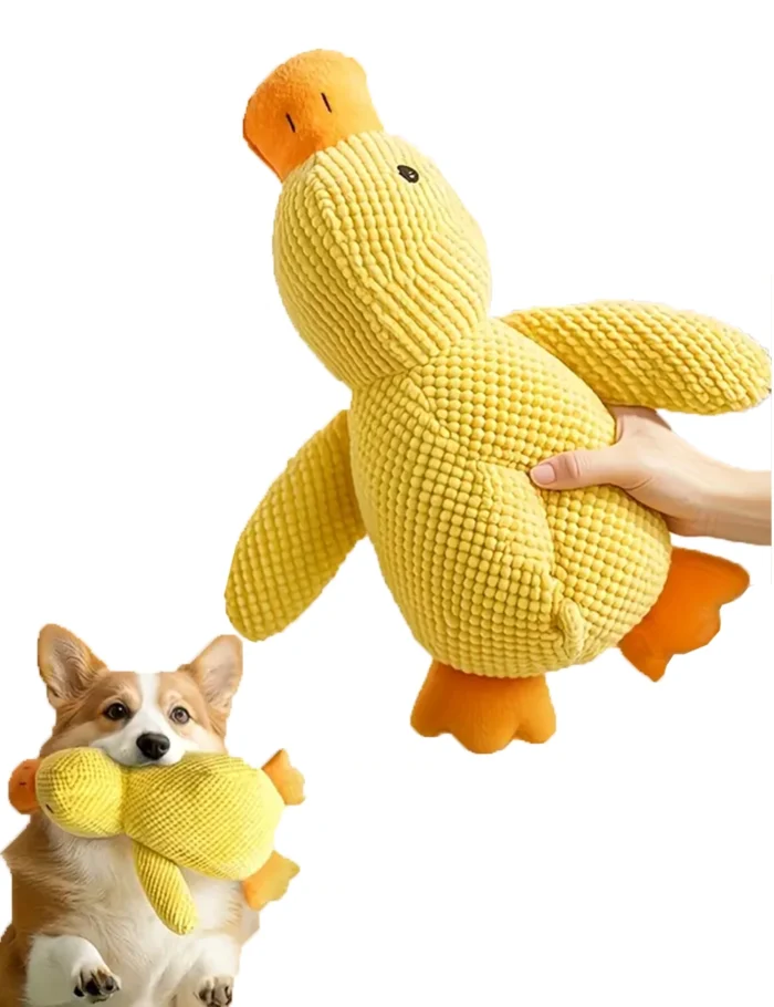 juguete-interactivo-pato juguete-interactivo-pato